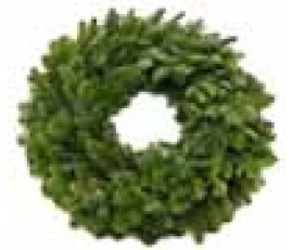 CM6 Plain Christmas Wreath 16 Inches